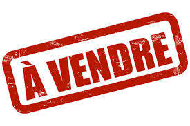 villa A vendre