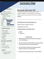 Recherche opportunité d'emploi ou un pré-embauche stage