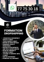 Formation Dropshipping : Devenir Financièrement Indépendant à Djibouti