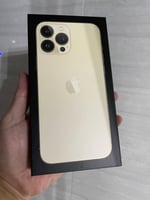 iPhone 13 Pro Max Gold