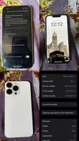 iPhone 13 Pro 256 Go en excellent état