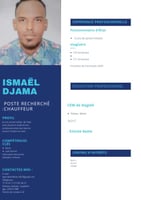 Chauffeur et agent de sécurité expérimenté recherche emploi