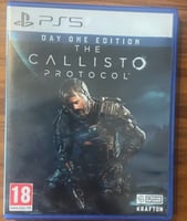 The callisto protocole