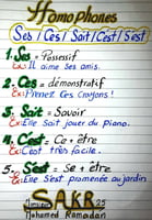 Cours de français pour tous les niveaux - Enseignante expérimentée