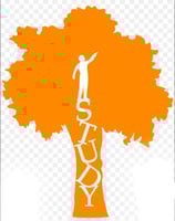 Soutien scolaire individuel et private tutoring professionnel