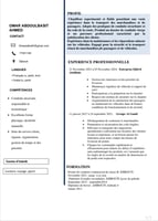 Chauffeur expérimenté, sérieux et ponctuel avec permis B et C