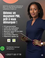 CV professionnel sur mesure - Rédaction, correction et conseils inclus - En 24h !