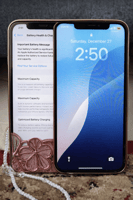 iPhone 12 Pro en bon &eacute;tat, batterie &agrave; 74%, Face ID fonctionne