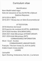 Chauffeur polyvalent avec 8 ans d'exp&eacute;rience