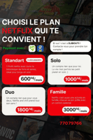 Abonnement Netflix Premium HD