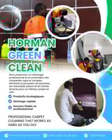 Nettoyage &eacute;cologique de canap&eacute;s, tapis et moquettes &agrave; domicile