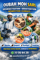 D&eacute;sinfection, D&eacute;ratisation et D&eacute;sinsectisation - Solutions efficaces et durables