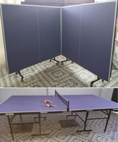 Table de ping-pong TB1200 en excellent &eacute;tat