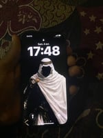 iPhone 13 256Go, batterie 100%, 9 mois d'utilisation - comme neuf