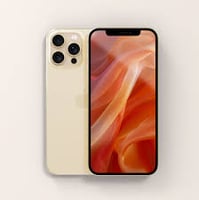 iPhone 12 Pro 256 Go Or en excellent état