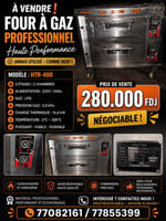 Batteur planétaire et four à gaz professionnels