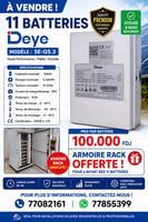 Onduleurs Deye 20 kW et batteries lithium 5,32 kWh