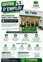 Offre d'emploi marketing débutants acceptés, formation incluse