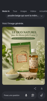Poudre capillaire indienne naturelle pour cheveux volumineux