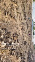 Terrain 500 m² avec titre foncier à Arta secteur Absieh