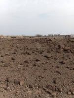 Terrain 6276m² rue d'Arta près Markas religieux PK23