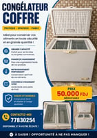 frigo a vendre