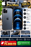 iPhone 12 Pro Max 256 Go en bon état