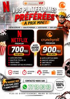 Abonnement Netflix et Crunchyroll avec profil privé sécurisé