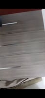 Chat de race élégant avec enclos à trois niveaux neuf
