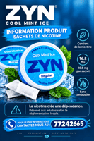 ZYN Cool Mint Ice goût menthe glacée sans combustion