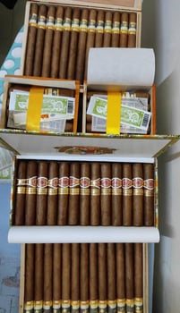 Tabacs frais de Cuba, marques Cohiba et Romeo Julieta