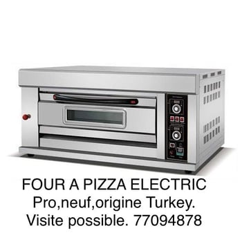 Four à pizza électrique, parfait état, idéal pour de délicieuses pizzas
