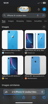 iPhone XR Bleu 64Go, en excellent état