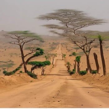 Terrain à vendre à Arta, secteur Absieh avec titre foncier