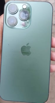 iPhone 13 Pro Vert en Très Bon État avec Coques et Chargeur