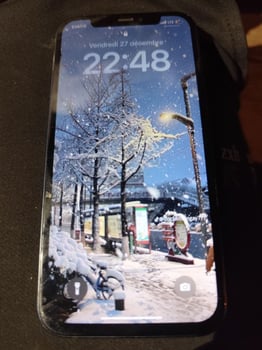 iPhone 12 128Go Bleu, Comme Neuf