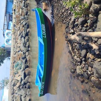 Bateau de pêche 4m avec moteur 15 CV à prix incroyable