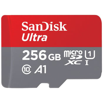 Carte mémoire SanDisk 256Go, prix réduits 3000fd