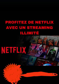 Profitez d'un accès illimité à Netflix pour vos séries et films préférés ! Découvrez un large éventail de contenus adaptés à tous les goûts. Sans engagement et accessi