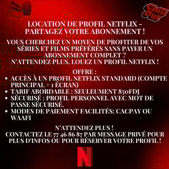 Location Profil Netflix - Partagez votre abonnement !