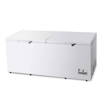 Congélateur commercial 2 portes neuf et d\'occasion