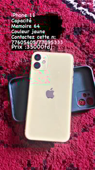 IPhone 11 64 Go comme neuf