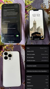 iPhone 13 Pro 256 Go en excellent état