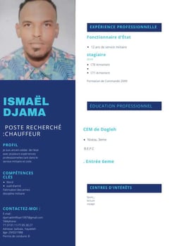Chauffeur et agent de sécurité expérimenté recherche emploi