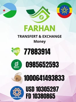 Service de change et transfert d\'argent chez Farhan Exchange