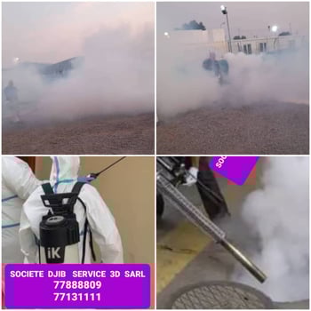 Société djib service 3D