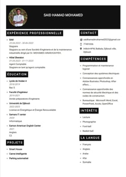 Jeune professionnel dynamique à la recherche d\'opportunités