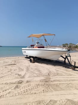 Bateau Andrea Sesse Sunshine 115cv Yamaha + Remorque + Équipements
