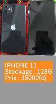 iPhone 11, débloqué, chargeur inclus