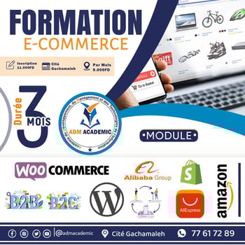 Formation complète en e-commerce : Alibaba, AliExpress, Amazon, Shopify et plus !